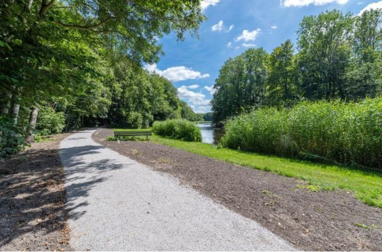 Staalslakken Op Een Fietspad