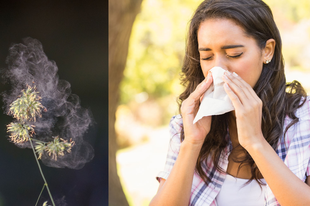 Hooikoorts Hooikoorts